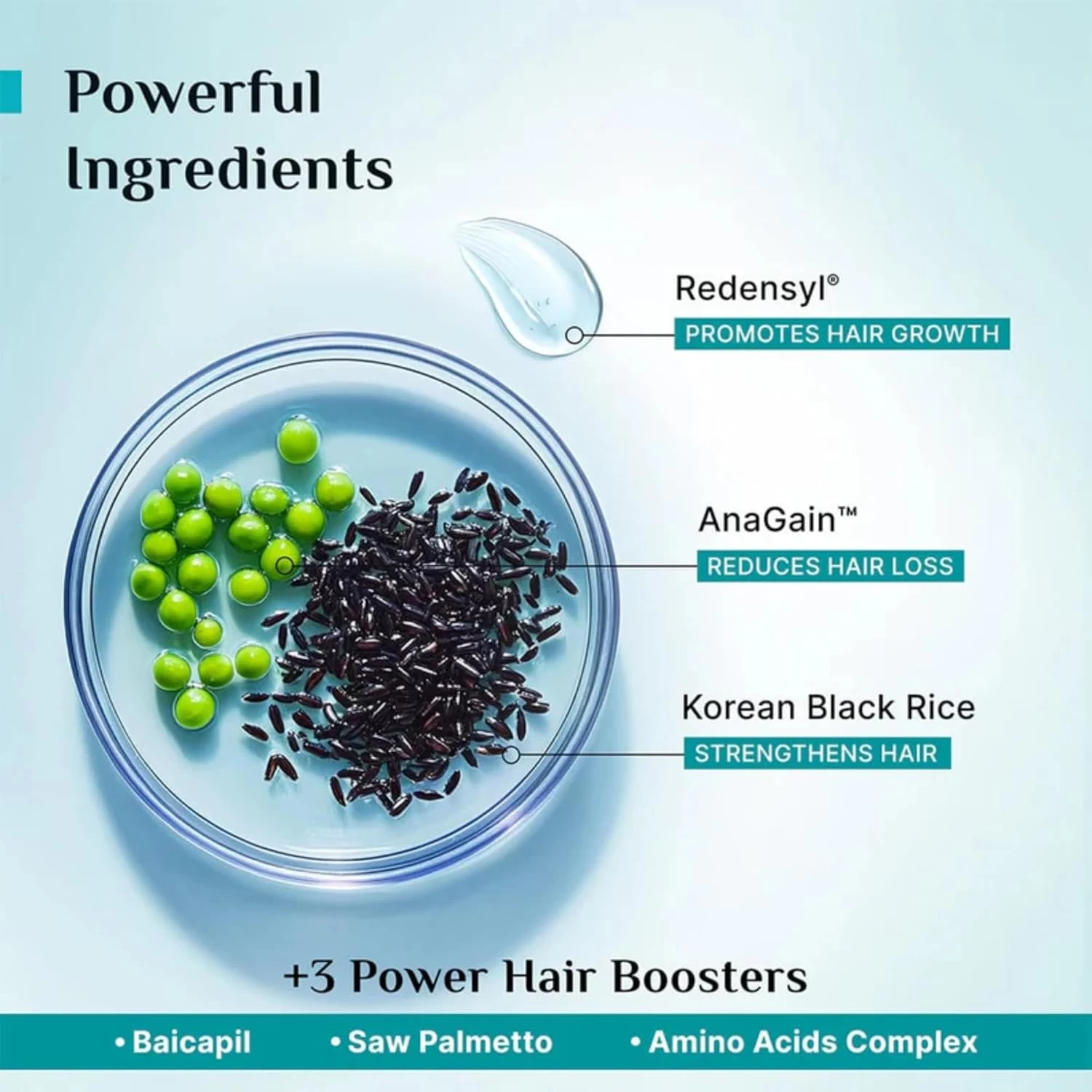 Pilgrim Redensyl & Anagain Hairfall Control Shampoo with Korean Black Rice  | Anti Hairfall shampoo for Men & Women | Reduces Hairfall | Promotes Hair Thickness | For All Hair Types