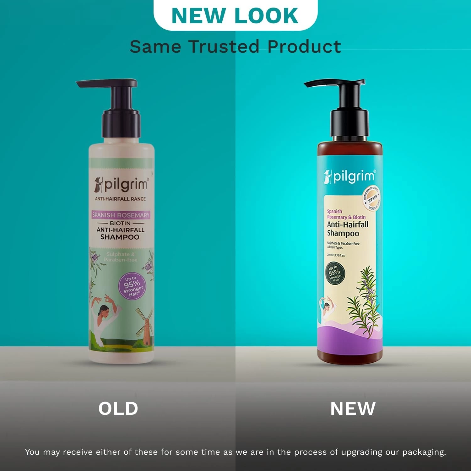 Pilgrim Spanish Rosemary & Multi-Protein Serum Anti Hairfall Shampoo  | Hair Fall Control, Reduces Breakage, Natural DHT Blocker | With Triple-Oil Nourishiment | Upto 95% stronger hairs | For all hair