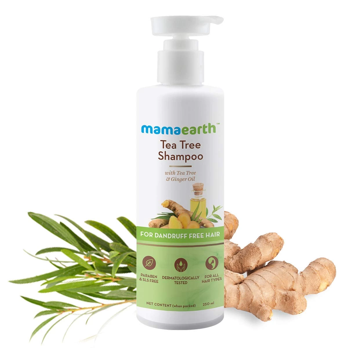 Mamaearth Tea Tree Anti Dandruff Shampoo, With Tea Tree & Ginger Oil |250ml